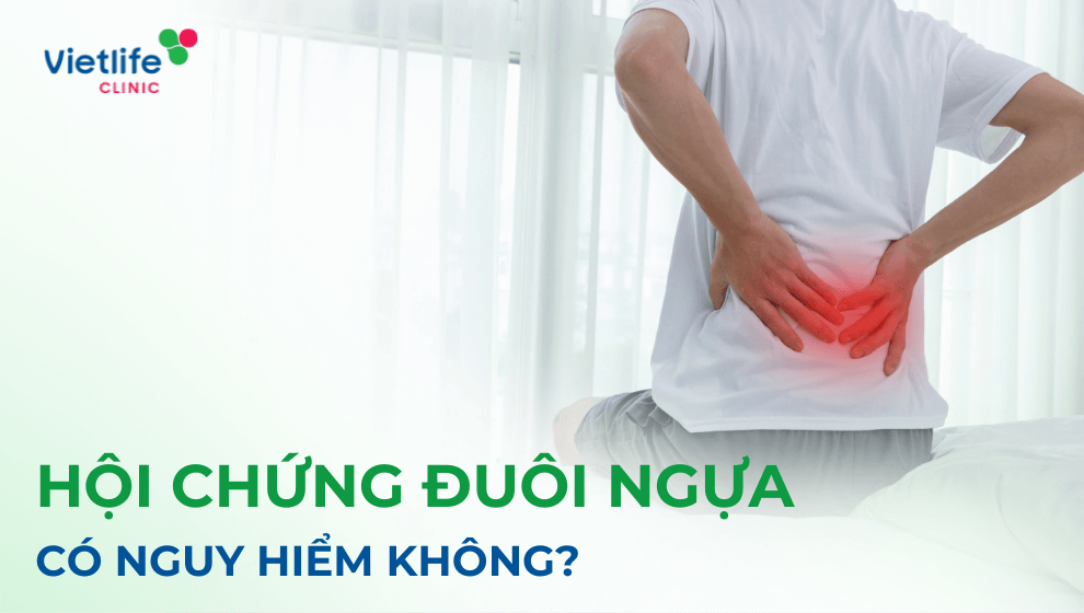 Hội chứng đuôi ngựa